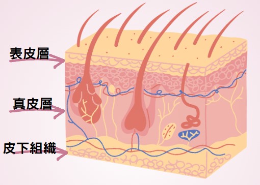 刺青後悔怎麼辦？想要刺青改圖、刺青雷射還能做補救！