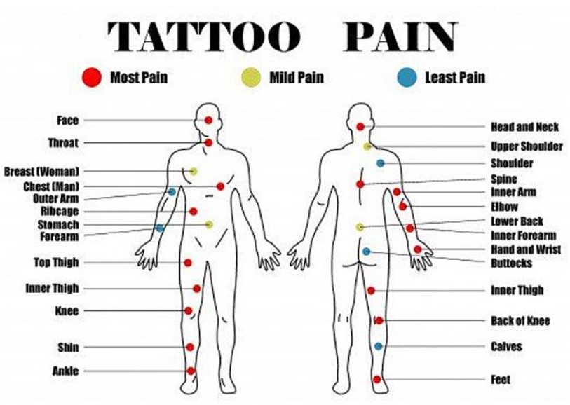 刺青疼痛感受度不同？顏色、部位會影響痛感？！